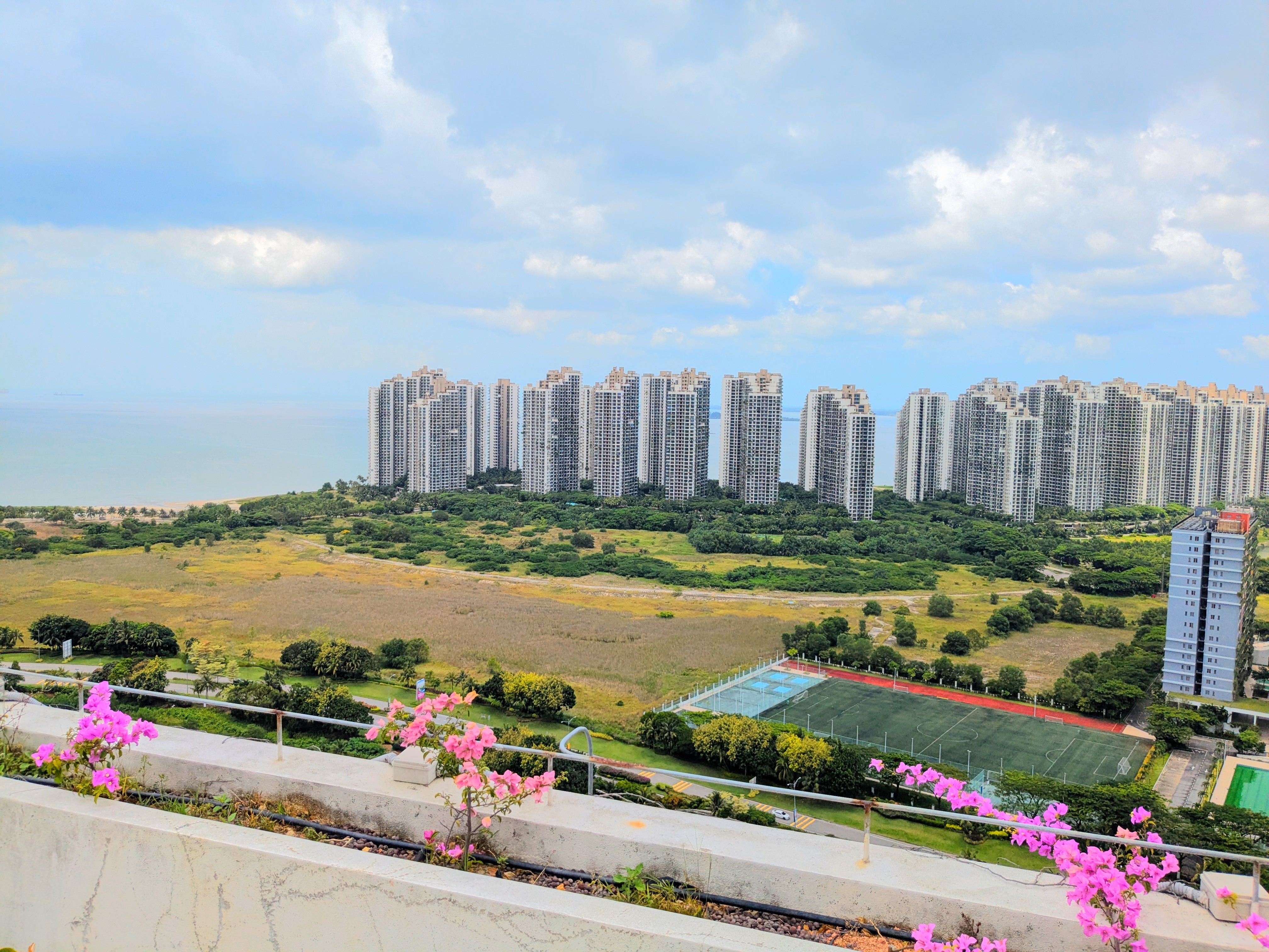 Forest City view